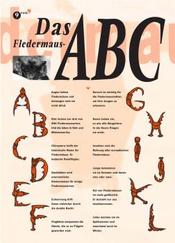 Flyer Das Fledermaus – ABC (Fledermausfakten von A bis Z)